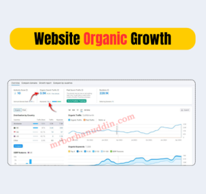 Website Organic Growth